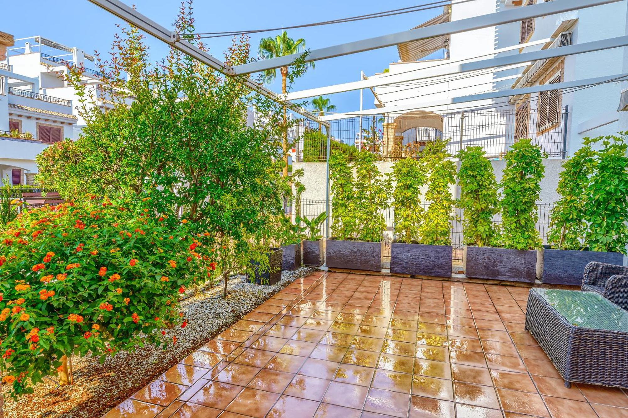 Sunny Apartments In La Mata, Azul Beach 2 Торрев'єха Екстер'єр фото